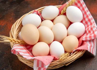 آیا تخم مرغ منبع امگا 3 است؟ آیا تخم مرغ منبع امگا 3 است؟